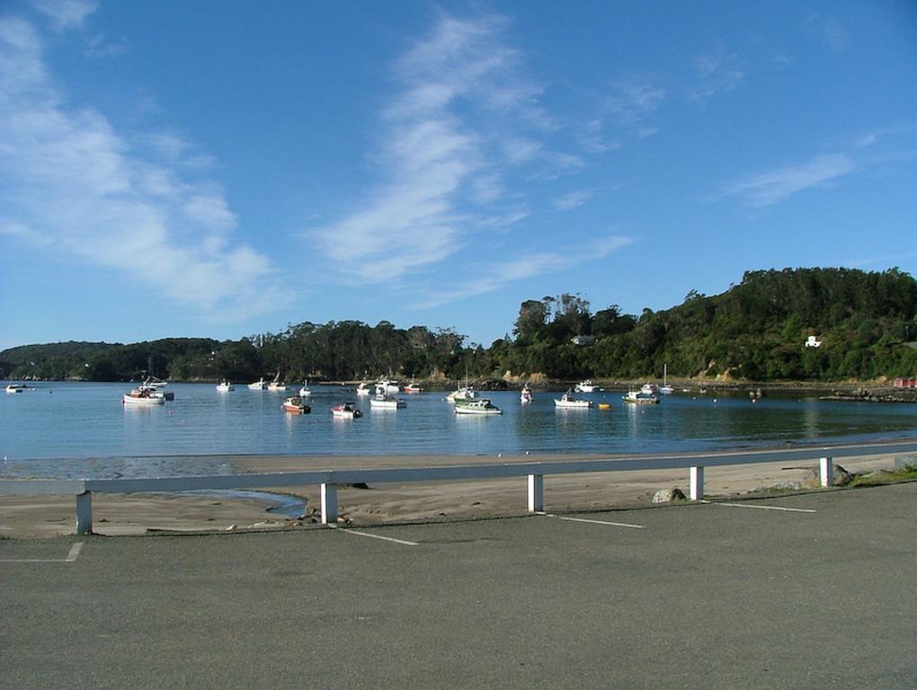 Kowhai Lane Lodge Half-moon Bay Exterior foto